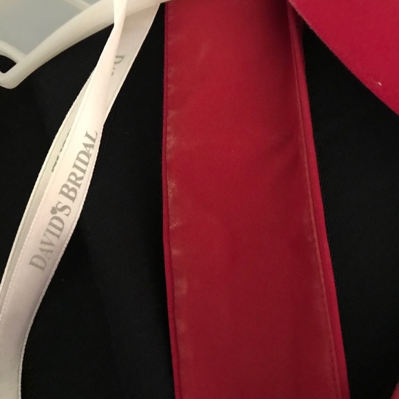 Gorgeous David's Bridal Dress w/ POCKETS! - Picture 5 of 6